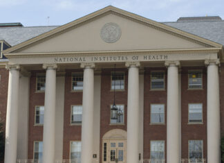 Prueba de sangre no detecta el cáncer de ovario en algunas pacientes, según estudio cáncer