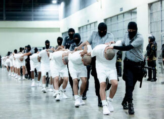 EE. UU. afirma haber deportado a 17 «criminales violentos» más a El Salvador apelaciones