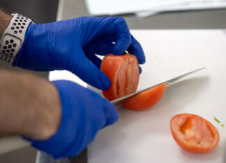 Estudio en EE. UU. busca entender los efectos en la salud de los alimentos ultraprocesados salud