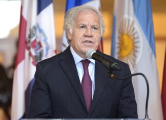 La OEA pide incluir el español como idioma oficial en la Corte Internacional de Justicia OEA