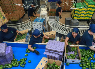 Presidenta mexicana Sheinbaum celebra nueva pausa en aranceles anunciada por EE. UU. aranceles