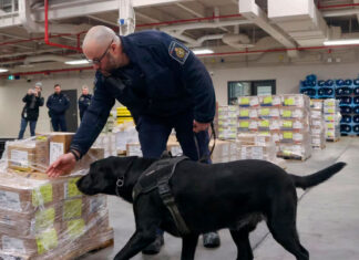 Trump mantendrá aranceles para presionar a México, Canadá y China sobre el fentanilo: asesores