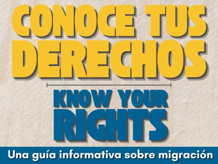 WhatsApp Image 2025-03-25 at 19.27.39