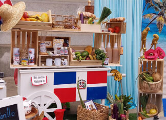 Izamiento de la bandera dominicana promueve la identidad cultural