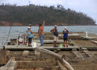 No se distribuyó millonaria ayuda federal a pescadores de Puerto Rico, según auditoría