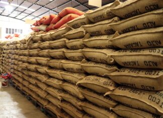 Productores de café y cacao del sur de México piden a EE. UU. que los exima de los aranceles café