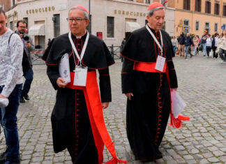 Cónclave para elegir un nuevo papa comenzará el 7 de mayo papa