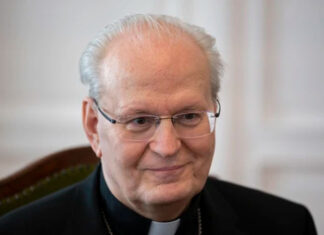 ¿Qué cardenales son percibidos como candidatos para ser el próximo papa?