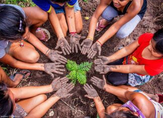 Nuevo informe de Naciones Unidas plantea ir a cambio profundo de estructuras y mentalidad informe