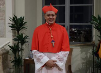 ¿Un papa asiático? El cardenal Tagle y sus alternativas papa