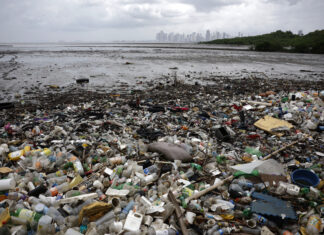 Panamá presenta un plan que puede reducir en un 67 % la contaminación por plásticos a 2040 contaminación