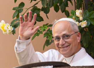 El papa León XIV regresa a las redes sociales con un mensaje de paz