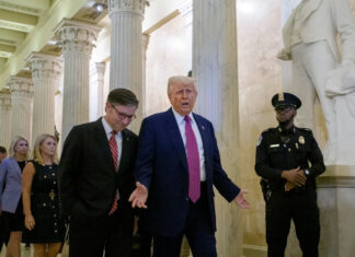 Trump elige concepto para sistema de defensa antimisiles «Cúpula Dorada» para EE. UU.