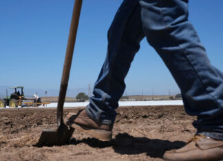 ICE raids and their uncertainty scare off workers and baffle businesses