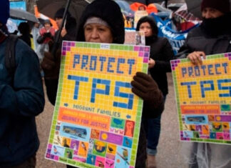 TPS: ¿Qué pasará ahora? Escenarios y soluciones ante la falta de decisión definitiva