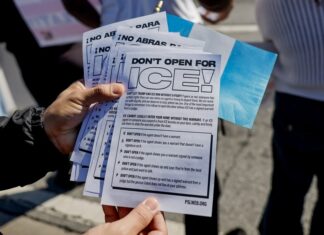 Sólo 28,3 % de inmigrantes detenidos durante el gobierno Trump había cometido algún delito