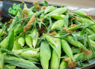 Cuántos residentes de Pensilvania perderán sus beneficios de Medicaid y SNAP si se aprueba el proyecto de ley de los republicanos