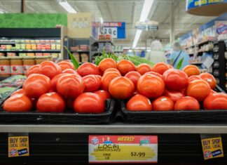 States worry about how to fill the gap in food aid ahead of a federal benefits halt food