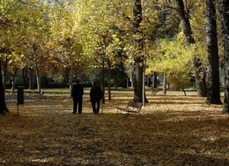 Dar 7.000 pasos diarios puede reducir los riesgos de enfermedades crónicas, según estudio