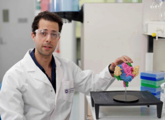 Descubren un nanocuerpo capaz de neutralizar los virus mortales de Hendra y Nipah