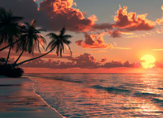 El arte de descansar: Cómo planificar vacaciones que realmente recarguen la energía