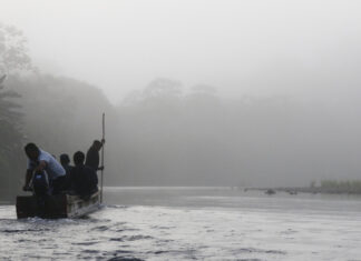 Más de 13.200 migrantes irregulares han llegado a Panamá este año en flujo hacia el sur