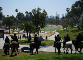 ¿Qué lecciones puede aprender el ICE de la rápida expansión de la Patrulla Fronteriza en EE. UU.? ICE