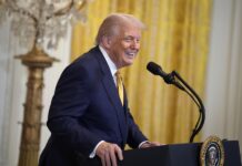 Trump cesa a director de Servicio de Impuestos tras solicitar datos de indocumentados