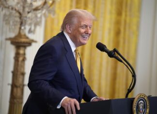 Trump cesa a director de Servicio de Impuestos tras solicitar datos de indocumentados