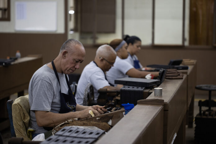 El tabaco dominicano vive su mejor momento con cifras récord de exportaciones tabaco