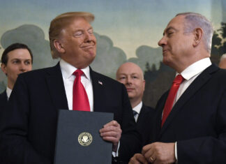 Memo to MAGA from Oz: “If you only had a brain”