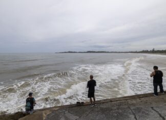 Stronger, bigger Erin forecast to create dangerous surf along US coast