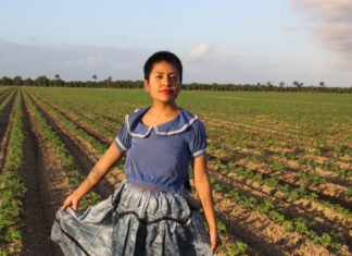 Arresto de beneficiaria de DACA enciende alertas sobre alcance de deportaciones de Trump