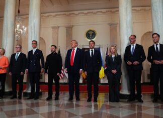 European leaders support trilateral summit, call for more participation European