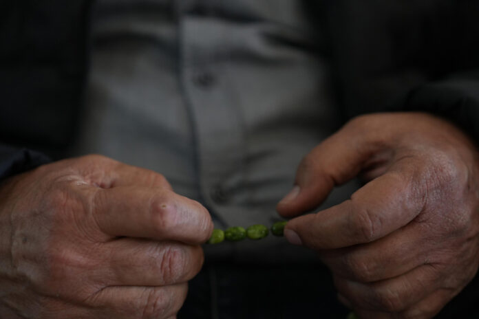 Identifican una hormona natural que protege a las neuronas del daño del párkinson párkinson