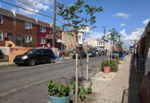 Los árboles brindan frutas, flores y sombra a las casas de Hunting Park