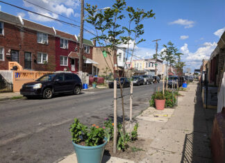 Los árboles brindan frutas, flores y sombra a las casas de Hunting Park