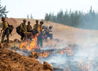 Patrulla fronteriza arresta a 2 bomberos que combatían incendio forestal en el estado de Washington