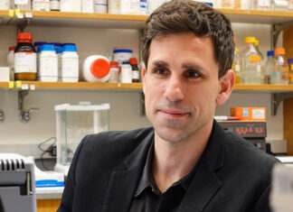 La IA identifica «una mina de oro» de potenciales antibióticos en las arqueas reporta la Universidad de Pensilvania IA