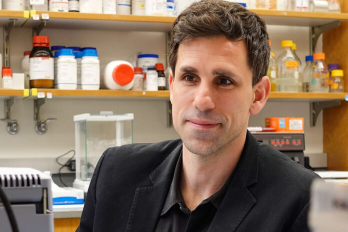 La IA identifica "una mina de oro" de potenciales antibióticos en las arqueas IA