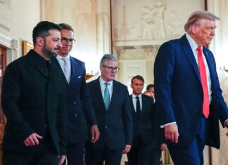 Trump insta a pláticas directas entre Putin y Zelenskyy, dice que guerra puede terminar en semanas