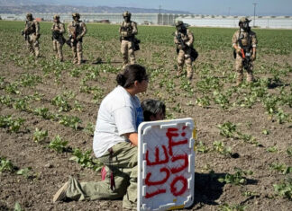 1.2 million immigrants are gone from the US labor force under Trump, preliminary data shows immigrants