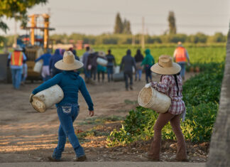 1,2 millones de inmigrantes han dejado la fuerza laboral de EE. UU. durante el mandato de Trump