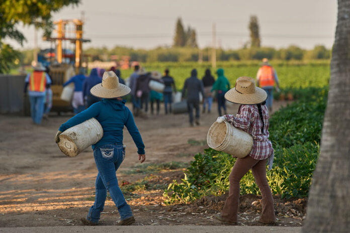 1,2-millones-de-inmigrantes-han-dejado-la-fuerza-laboral-de-EEUU-durante-el-mandato-de-Trump