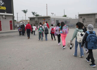 Teachers sue over Trump’s immigration crackdown, saying students are staying home immigration