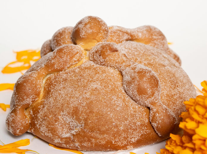 pexels-leslie-torres-229759733-12087944 pan