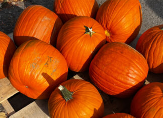 Cuando el hambre acecha, Filadelfia responde unida