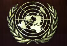 República Dominicana elegida miembro de la Comisión de Administración Pública de la ONU ONU