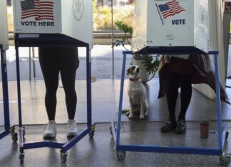 Elecciones en Nueva York, Virginia y Nueva Jersey ponen a prueba la influencia de Trump