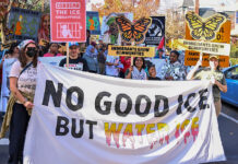 Stronger Together: How PIC defends immigrant rights